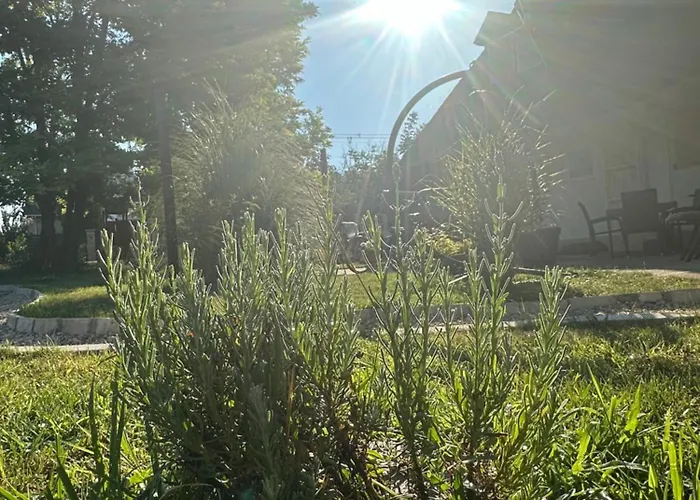 Levendulakert Apartmanhaz